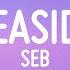 SEB Seaside TikTok Song Lyrics Hi Baby Do You Want To Be Mine 1 Hour Popular Songs 2023