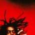 Peter Tosh Soon Come Long Version