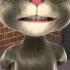 Talking Tom Show Das Poderosas