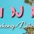 Skirri DJ Remix Lekong Lekong Tiktok Song