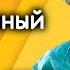 Джули отрешенный Читает Николай Караченцов Страницы повести Джеймса Олдриджа 1977