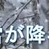 鄧麗君 テレサ テン Teresa Teng 雪が降る It S Snowing