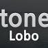 Lobo Stoney Karaoke Version