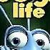 Opening To A Bug S Life 1999 DVD Portuguese Copy