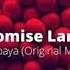 Promise Land Papaya DJ Andrevinsky Edit