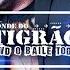 BONDE DO TIGRÃO DVD O BAILE TODO COMPLETO