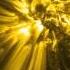 NASA Thermonuclear Art The Sun In Ultra HD 4K