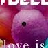 Tim Deluxe Love Is Sucre Rework