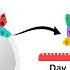 Gastrulation What Happens During Gastrulation Week 3 Of Embryonic Development