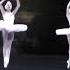 Big Swans Dance Act II Swan Lake Le Lac Des Cygnes Choreography Rudolf Noureev