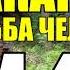 МАКАРЫЧ В ТАЙГЕ ПОТЕРЯЛ ЛУЧШЕГО ДРУГА ДЕД В ГОРОДЕ ОДИНОЧЕСТВО В ЛЕСУ 16 из