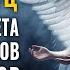 777 Гц 111 Гц Симфония Света Музыка Ангелов и Архангелов Эта Музыка Исцеляет Все Боли Тела и Души