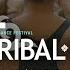 Ты можешь всё TRIBAL KZ 10 International Festival With RACHEL BRICE