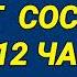 264 Пьянки алкостримы и ругань на 12 часов