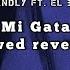 Mi Gata Slowed Reverbed Standly Ft El Barto