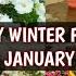 TOP 20 HEAVY WINTER FLOWERING PLANTS FOR JANUARY GARDEN TOP WINTER FLOWERS