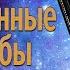 Встреча с Хиневичем А Ю Презентация книги пятой Неизведанные гати судьбы из цикла Путь к истокам