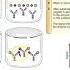 Labeled Immunoassays