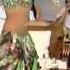 Belly Dancer Beautifull Hot Didem New