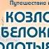 Путешествие по местам силы город Владимир Практика формирования направления деятельности