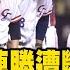 12強 日本隊27連勝 遭中華隊斬斷 日媒開轟是恥辱 總教練井端 一切都是我的責任 Newsebc