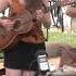 You Are My Sunshine Empty Bottle String Band Jonesborough Farmers Market Sept 2019