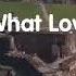 Thats What Love Is For Amy Grant With Lyrics