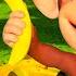 Apples And Bananas CoComelon Furry Friends Animals For Kids