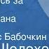 Михаил Шолохов Они сражались за Родину Главы из романа Передача 4 Читает Борис Бабочкин