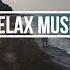 Relax Music Nature NCS Release