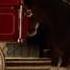 Budweiser Clydesdale Commercial High Definition