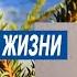 Спеша к жене Максим оплатил обед цыганке И когда она взяла его ладонь