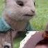 Elizabeth Debicki As Mopsy In Peter Rabbit 2 Shorts