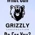 What Can Grizzly Do For You Design Build Remodel