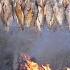 Fish Traps And Smoked Fish Making Process Amy Green Forest Life