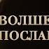 Александр Шепс Где то высоко