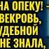 Свекровь попыталась лишить невестку ребёнка но не ожидала такого разоблачения в суде