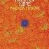 Midori Takada Tree Of Life Full Album