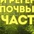 3 Шага к быстрой регенерации почвы Часть 2 Размножение полезных микробов