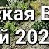 Вилково Колоритные улицы города на воде Чуть не оглохла