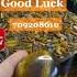 Good Luck Attraction Code Attract Happiness And Luck Luck Spell Tiger S Eye Crystal