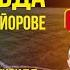 ВСЯ ПРАВДА ОБ АЛЕКСЕЕ МАЙОРОВЕ Николай Мурашко Все о детском футболе