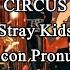 CIRCUS Stray Kids Karaoke KARAOKE CON PRONUNCIACION Letra Fácil Easy Lyrics