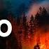 Юлия Латынина Разбираем Отчего горят леса Wildfires LatyninaTV