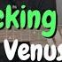 Shocking Blue Venus Bass Cover With Tabs