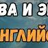 ЧУВСТВА и ЭМОЦИИ на английском языке Английский с нуля