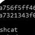 How To Brute Force A Bitcoin Wallet With Hashcat