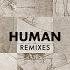 Human DJ DimixeR Remix