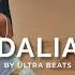 Dalia Ultra Beats Original Mix