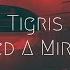 Tigris I Need A Miracle Extended Remix